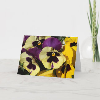 Spring Pansies Card