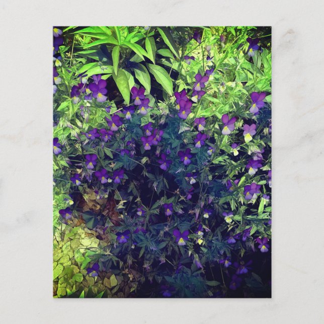 Spring pansy johnny jump ups flowers craft paper (Front)