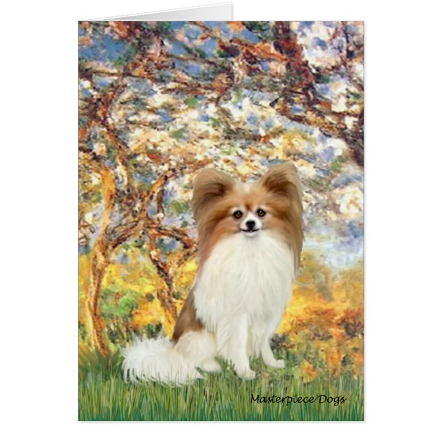 Spring - Papillon 4 (Front)