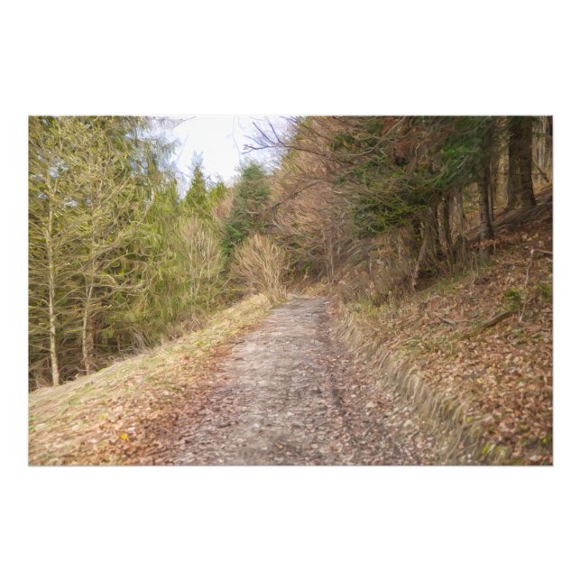 Spring path in the forrest photo print (Front)