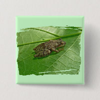 Spring Peeper (Pseudacris crucifer) Treefrog Items