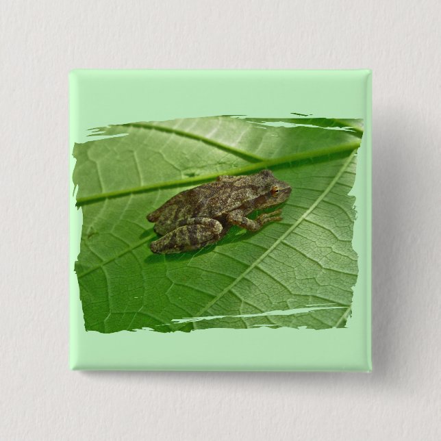 Spring Peeper (Pseudacris crucifer) Treefrog Items 15 Cm Square Badge (Front)