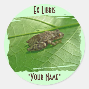 Spring Peeper (Pseudacris crucifer) Treefrog Items Classic Round Sticker