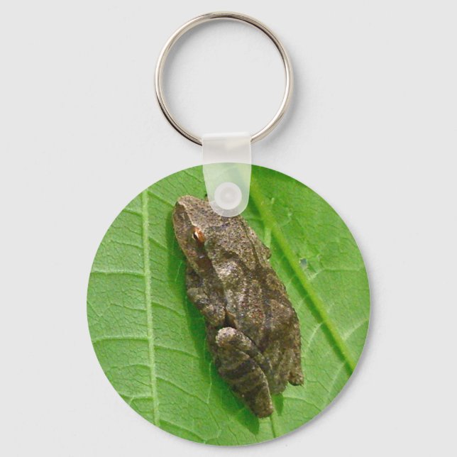 Spring Peeper (Pseudacris crucifer) Treefrog Items Key Ring (Front)
