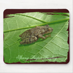 Spring Peeper (Pseudacris crucifer) Treefrog Items Mouse Mat