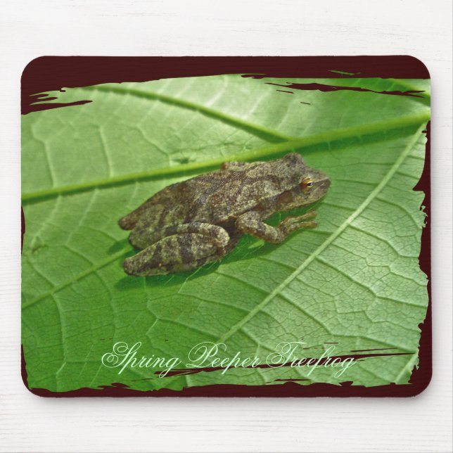 Spring Peeper (Pseudacris crucifer) Treefrog Items Mouse Mat (Front)