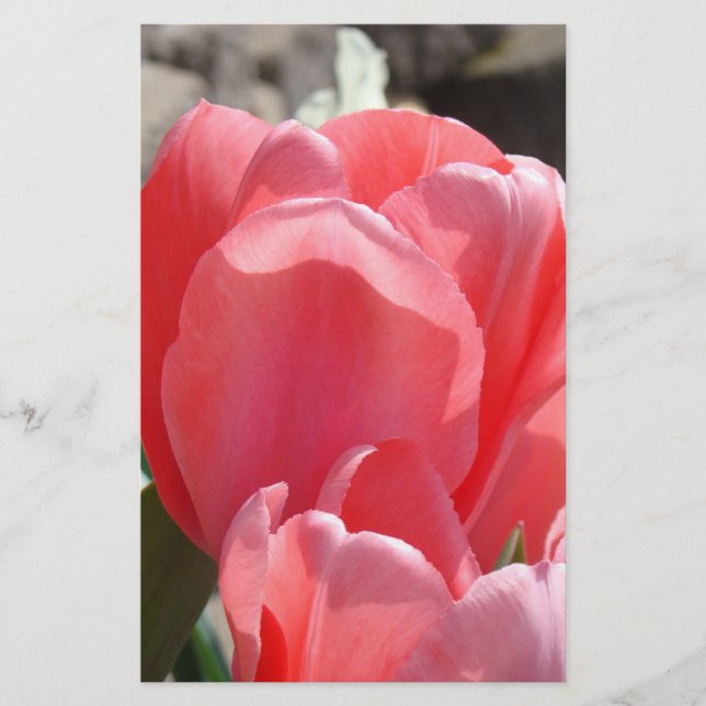 Spring Personalised Stationery Pink Tulip Flowers (Front)