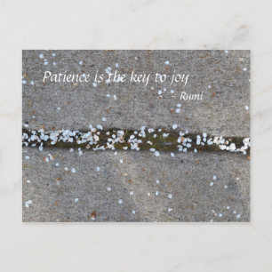 Spring Petals Rumi Joy Postcard