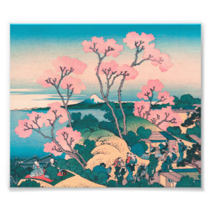 Spring Picnic under Cherry Tree Flowers Mount Fuji Photo Print