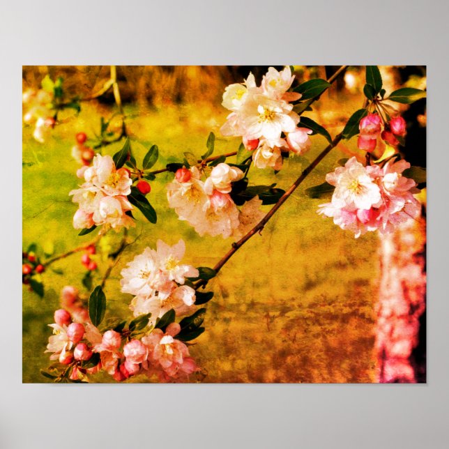 Spring Pink And White Blossoms Distressed Art Poster (Front)