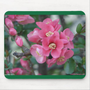 Spring Pink Blooming Flowering Quince Mouse Mat