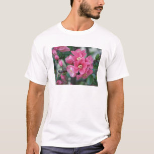 Spring Pink Blooming Flowering Quince T-Shirt