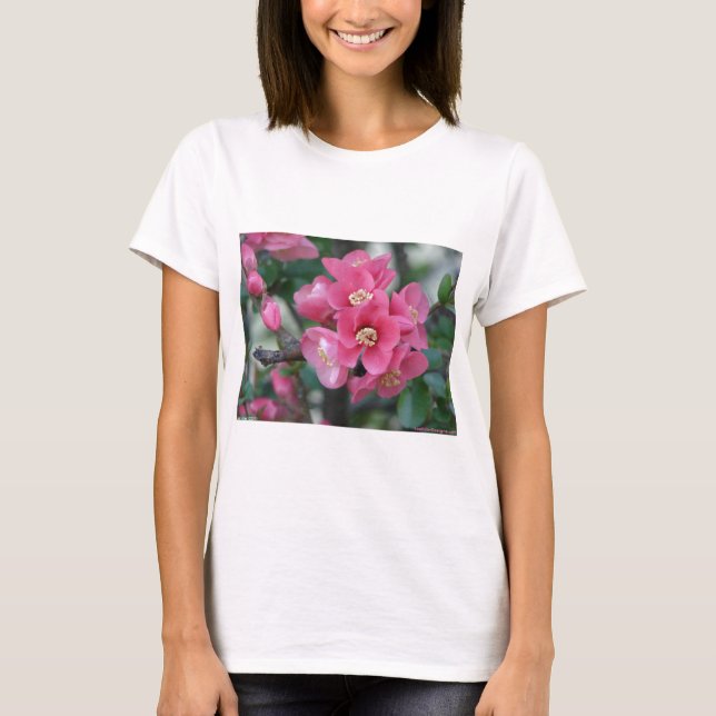 Spring Pink Blooming Flowering Quince T-Shirt (Front)