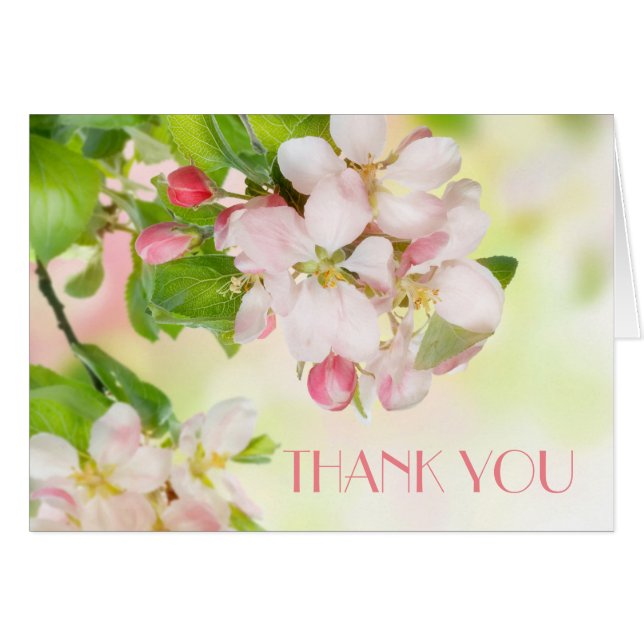Spring Pink Blossom Branch Thank You Card (Front Horizontal)