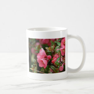 Spring Pink Flowering Quince Coffee Mug