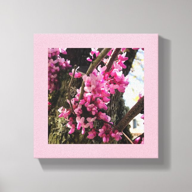 Spring Pink Flowers Canvas Print (Front)
