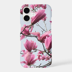 Spring Pink Magnolia Blossoms Peaceful Hanami