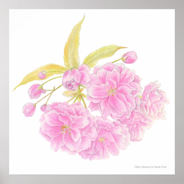 Spring pink tree blossom watercolor art poster (Front)