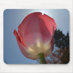 spring pink tulip flower photo art mouse mat
