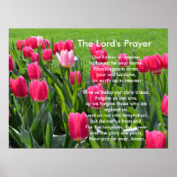 Spring pink tulip flowers, The Lord's Prayer