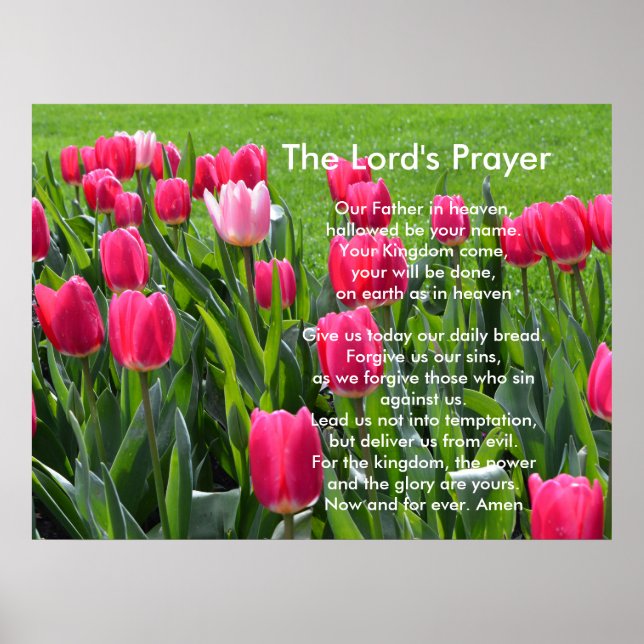 Spring pink tulip flowers, The Lord's Prayer Poster (Front)