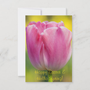 Spring Pink Tulip Greeting Card
