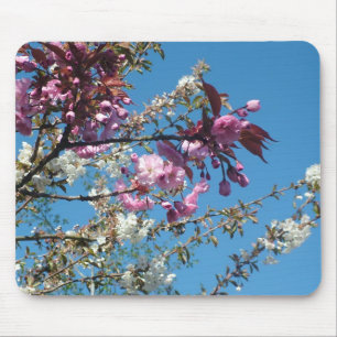 Spring pink white cherry flowers in blue sky mouse mat
