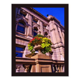 Spring Plants Photo Print