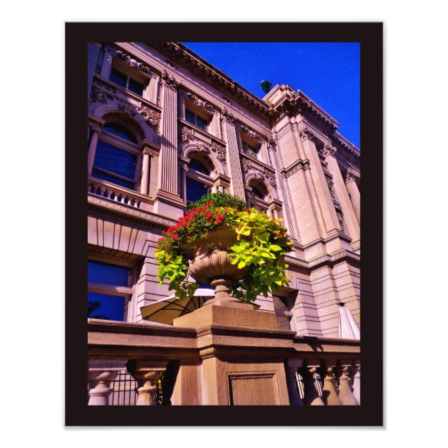 Spring Plants Photo Print (Front)