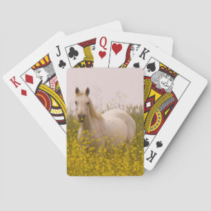Spring Playing Cards