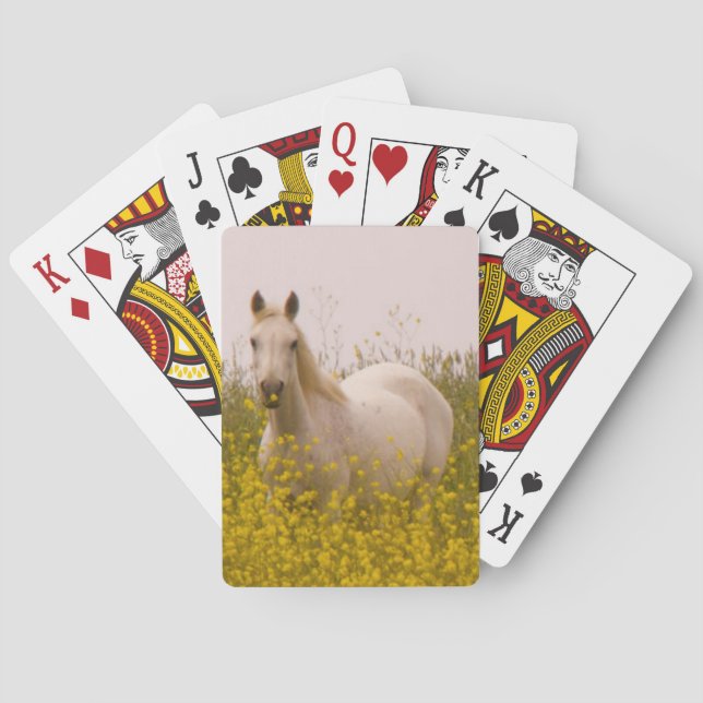 Spring Playing Cards (Back)
