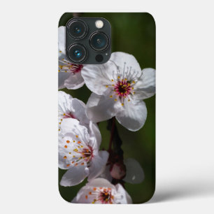 Spring plum blossoms for phones iPhone 13 pro case
