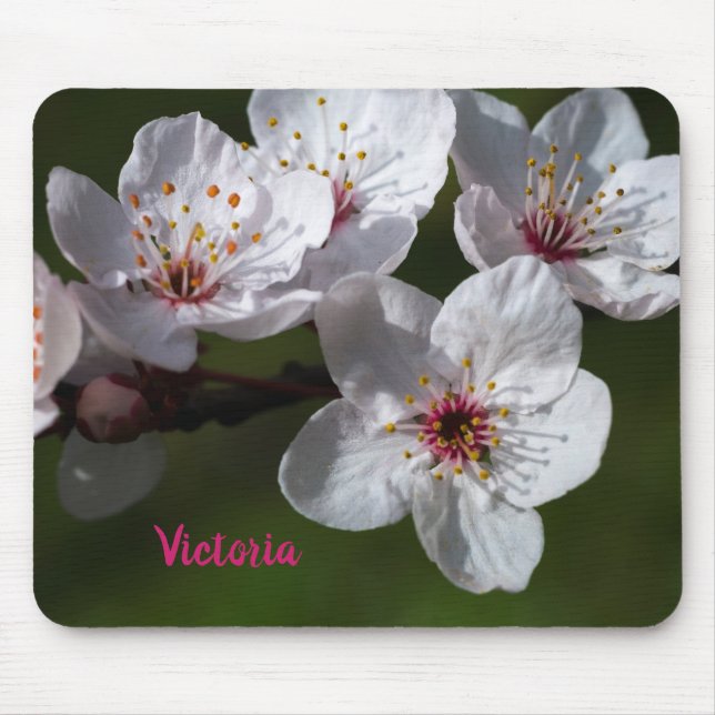 Spring Plum Blossoms Mouse Mat (Front)