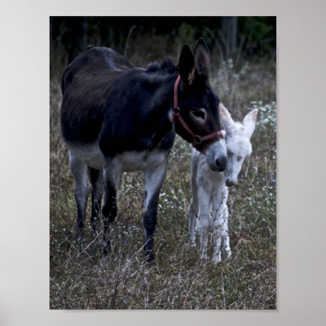 SPRING POSTER (Front)