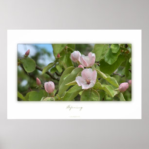 Spring Poster