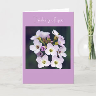 Spring Posy Card