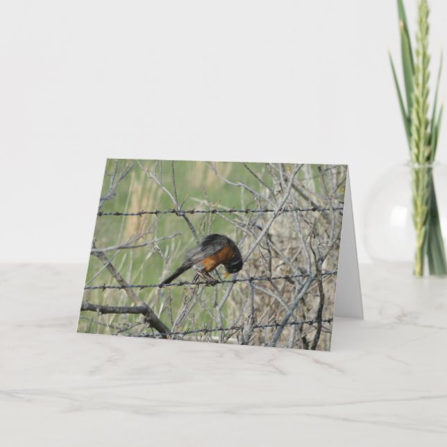 Spring Prayer, Robin Thank You Card (Front)