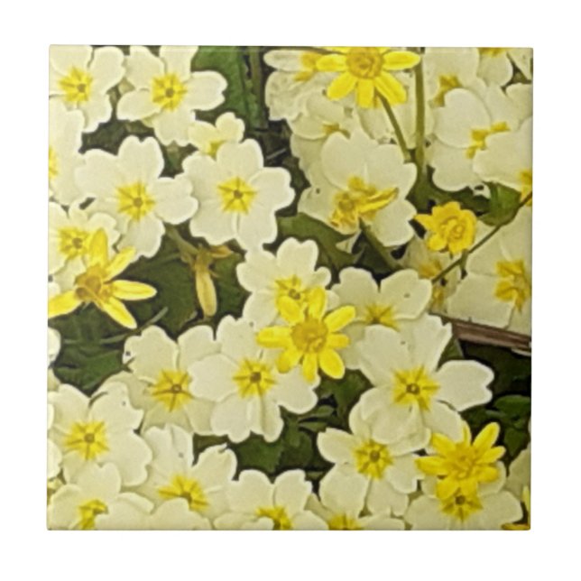 Spring Primroses Ceramic Tile (Front)