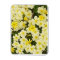 Spring Primroses Flexible Fridge Magnet