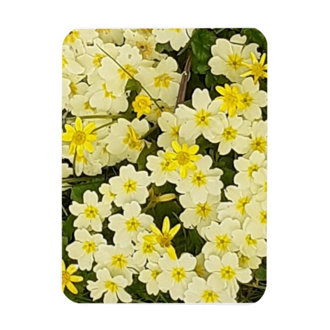 Spring Primroses Flexible Fridge Magnet (Vertical)