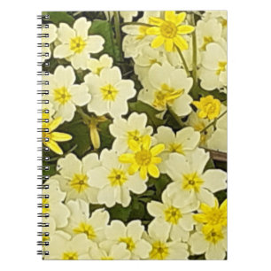 Spring Primroses Photo Notebook
