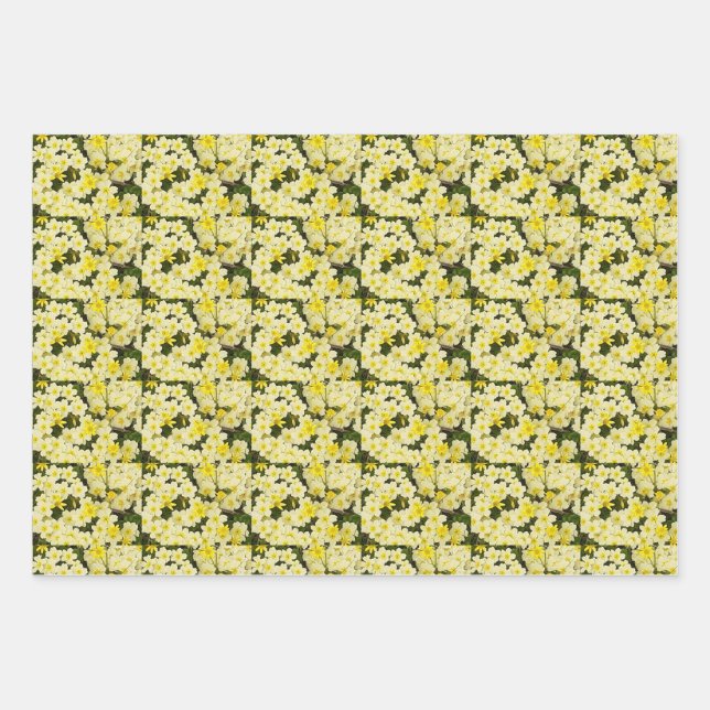 Spring Primroses Wrapping Paper Sheet (Front)