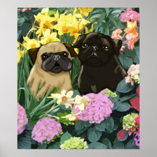 Spring Pugs Poster by Amy Cappelli
