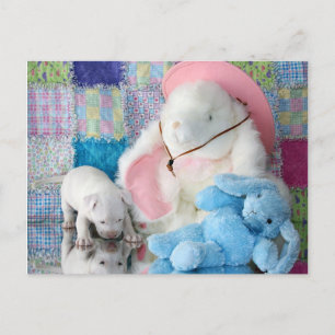 Spring Puppy Love Postcard