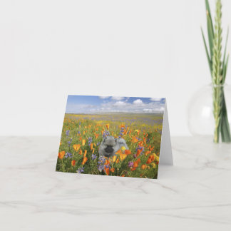 Spring Puppy Notecard