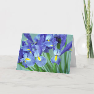 Spring Purple Irises Photo Art Greeting Cards