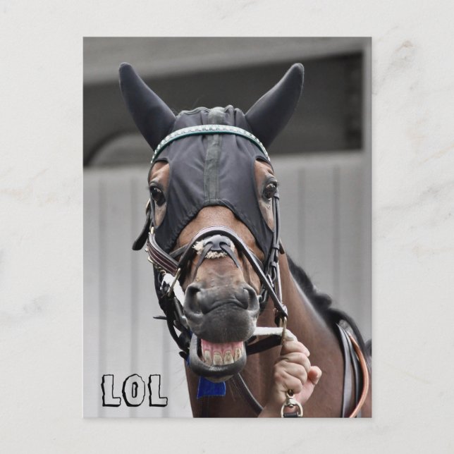 Spring Quality Postcard (Front)