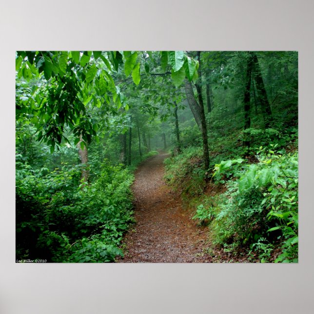 Spring Rainforest Receding Fog On The Trail Poster (Front)