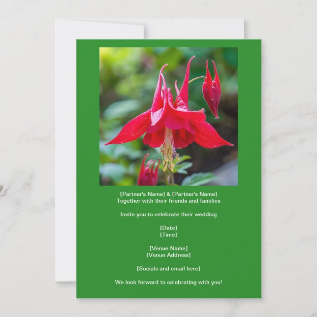 Spring Red Columbine Native Flower on Green  Invitation (Front)