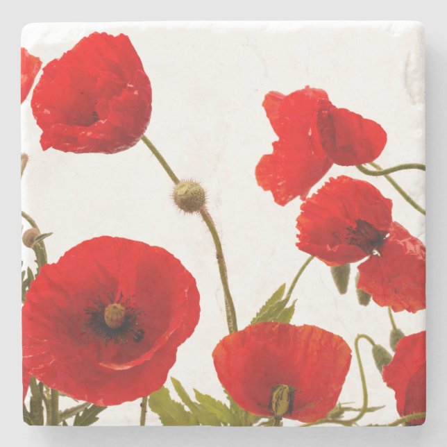 Spring Red Poppy Flowers Floral White Trendy Cute Stone Coaster (Front)